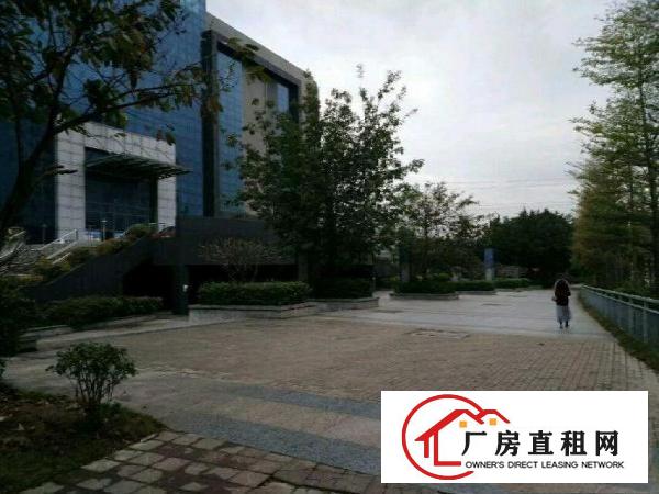 
布吉原房东112000平仓储办公厂房可包租！