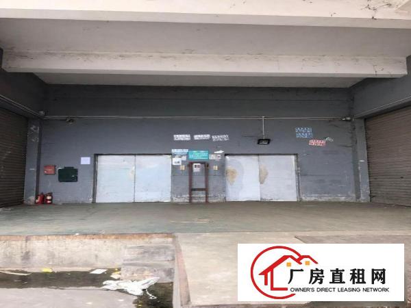 
带装修300平春节前租免一个月租金