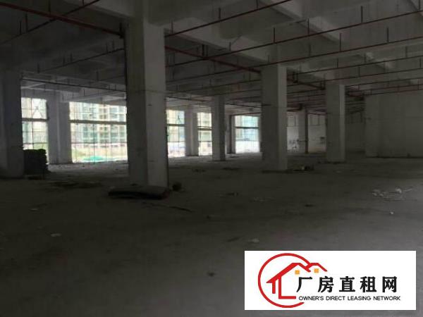 
布吉适合做酒店，学校出租