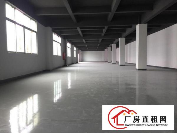 
木棉湾65平/100平/200平/300平写字楼厂房