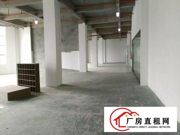 
木棉湾65平/100平/200平/300平写字楼厂房