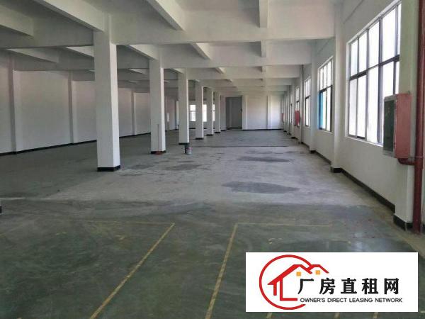 
木棉湾65平/100平/200平/300平写字楼厂房