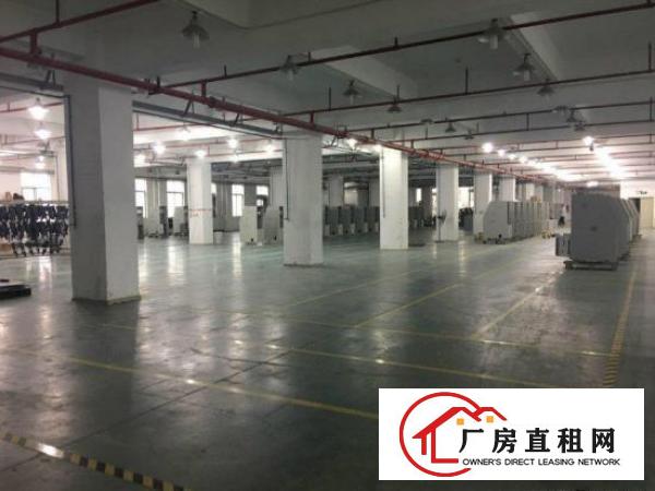 
原房东厂房新空1850平精装修办公室没有公摊