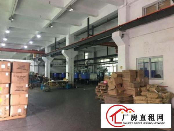 
原房东厂房新空1850平精装修办公室没有公摊