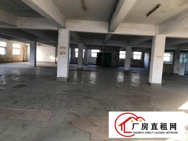 
丹竹头上李朗一楼厂房1100平米