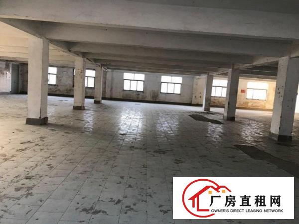 
丹竹头上李朗一楼厂房1100平米