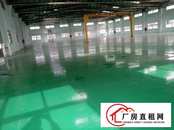 
松岗龙大高速出口独院单一层16000平适合做4S店