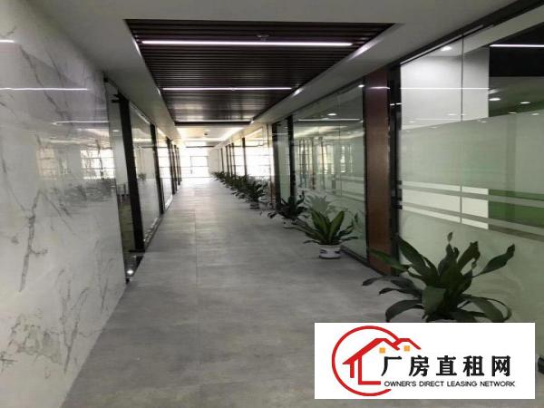 
木棉湾地铁站精装写字楼116平至8000平招租