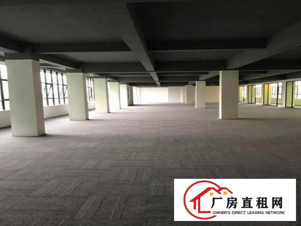 
丹竹头A口电商写字楼65~94~150平精装拎包入驻