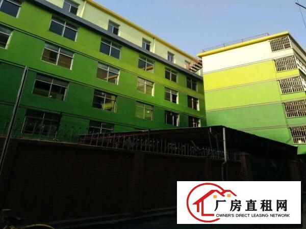 
《实图》布吉电商写字楼94平米带精装修