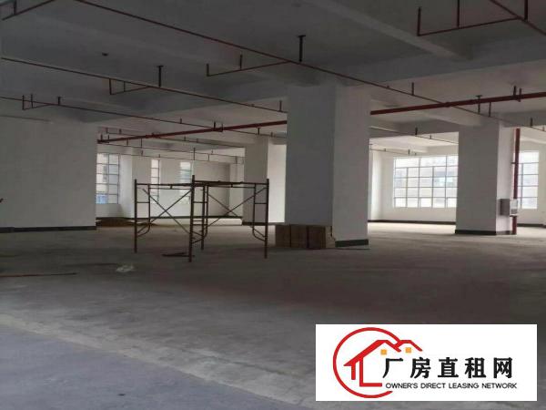 
布吉李朗全新厂房火爆招租，1000平方起分租