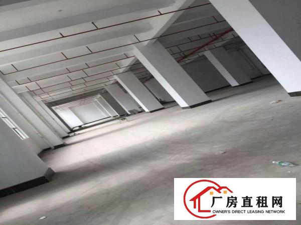 
布吉李朗全新厂房火爆招租，1000平方起分租