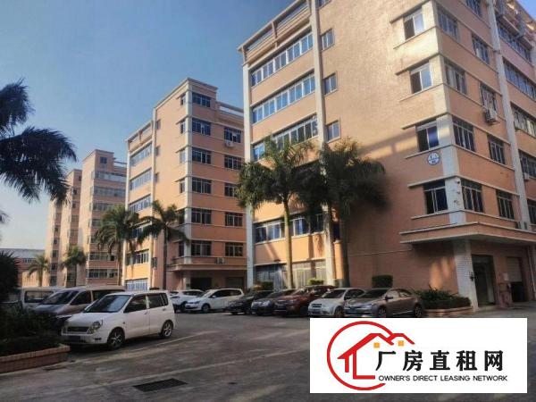 
丹竹头吉厦早禾坑工业区厂房楼上1760平米