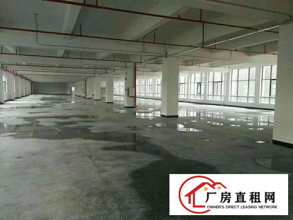 
丹竹头吉厦早禾坑工业区厂房楼上1760平米