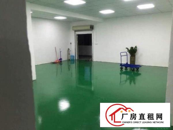 
出租布吉丹竹头地铁站附近厂房出租