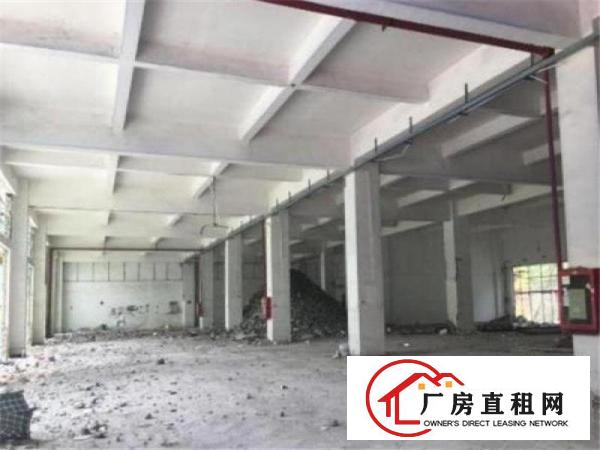 
布吉杨美地铁口红本26500平独院厂房出租，十年合同