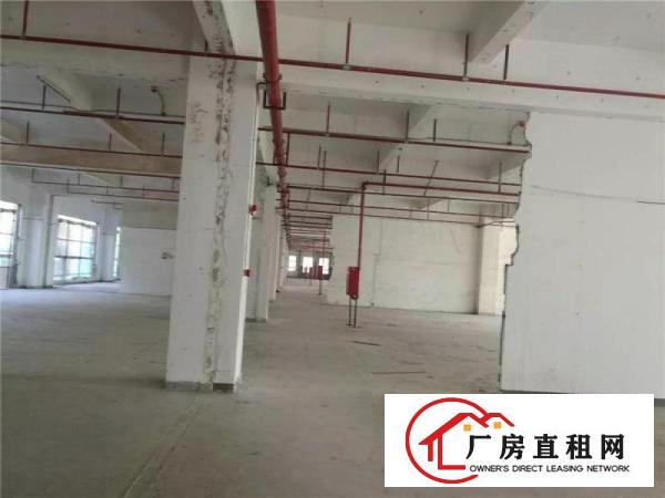 
布吉杨美地铁口红本26500平独院厂房出租，十年合同