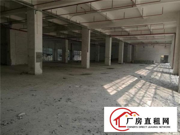 
布吉杨美地铁口红本26500平独院厂房出租，十年合同
