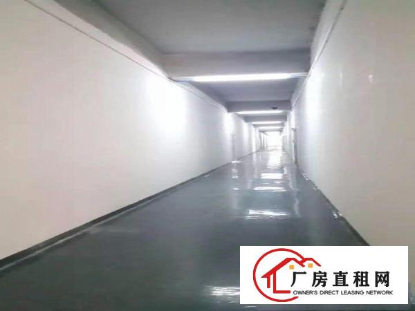 
出租布吉丹竹头厂房可做办公室仓库大面积小面积都有