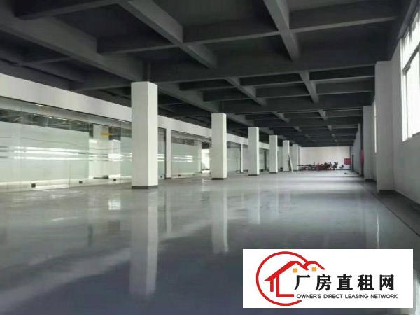 
布吉上李朗1300平一楼标准厂房