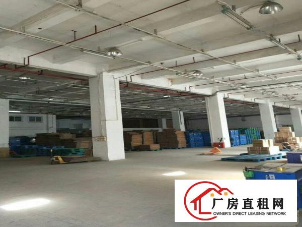 
布吉上李朗1300平一楼标准厂房