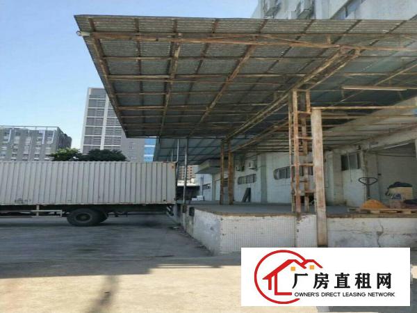 
布吉上李朗1300平一楼标准厂房