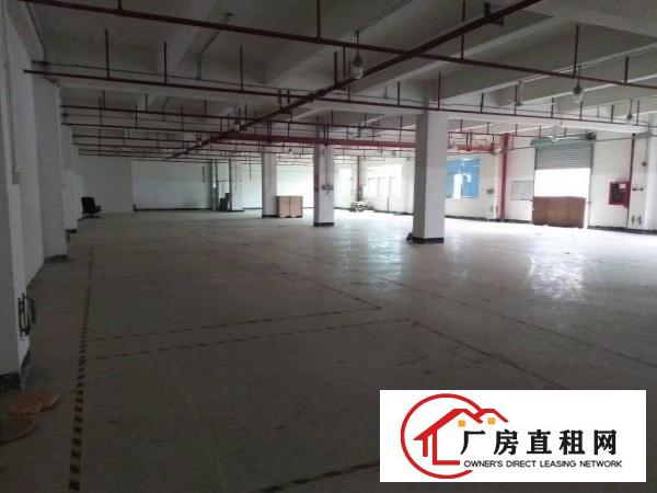 
布吉上李朗1300平一楼标准厂房