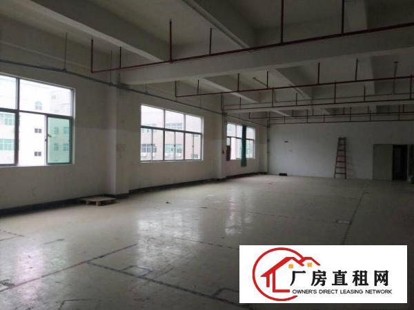 
布吉上李朗1300平一楼标准厂房