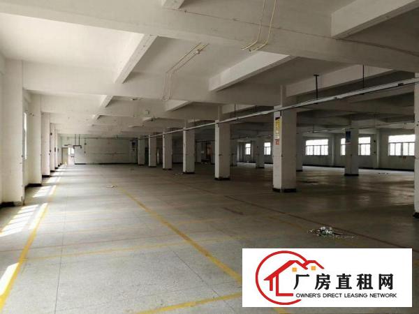 
南岭龙山工业区26000平米工业园招租