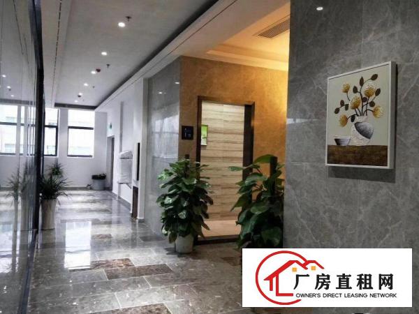 
布吉236平米写字楼带地毯精装办公室空调，停车位免费