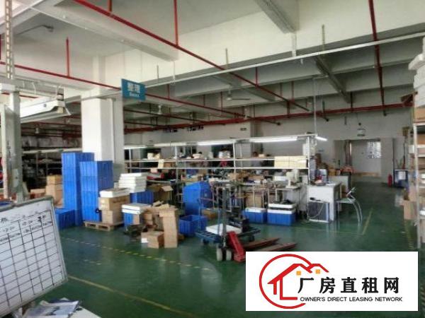 
分租布吉上李朗1500平方厂房