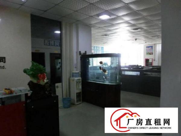 
分租布吉上李朗1500平方厂房