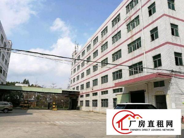 
华美工业区旁300-1000标准厂房招租
