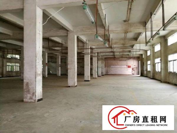 
华美工业区旁300-1000标准厂房招租