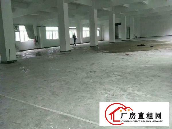 
布吉上李朗1680平标准厂房