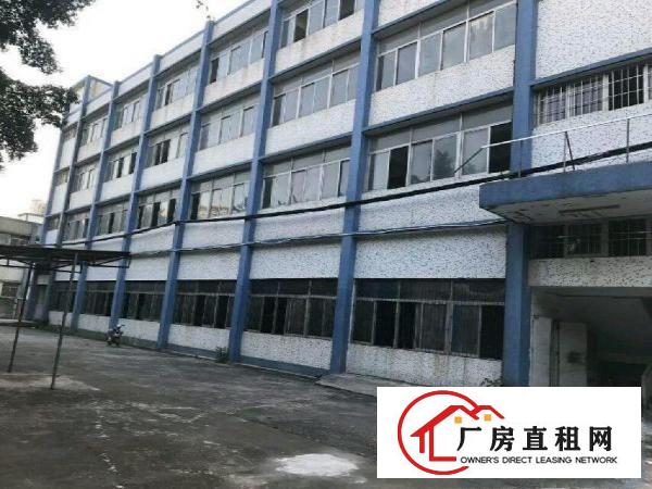 
可园小区，大芬油画村厂房3200平米，可分租300起