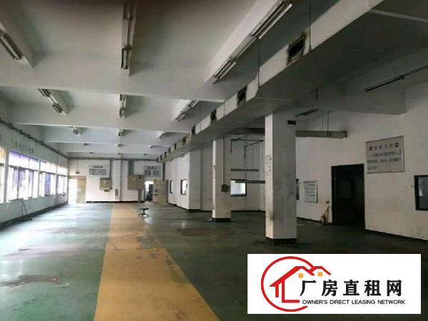 
可园小区，大芬油画村厂房3200平米，可分租300起