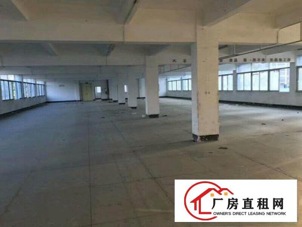 
可园小区，大芬油画村厂房3200平米，可分租300起