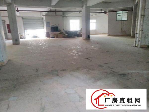 
布吉丹竹头标准厂房仓库一楼350、550平方