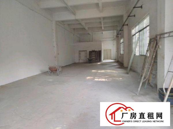 
布吉丹竹头标准厂房仓库一楼350、550平方