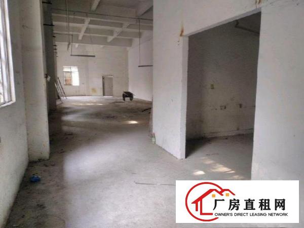 
布吉丹竹头标准厂房仓库一楼350、550平方