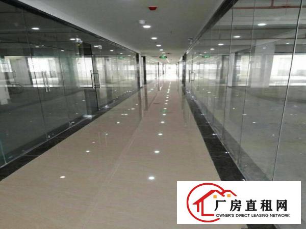 
布吉上李朗2152平新建标准厂房