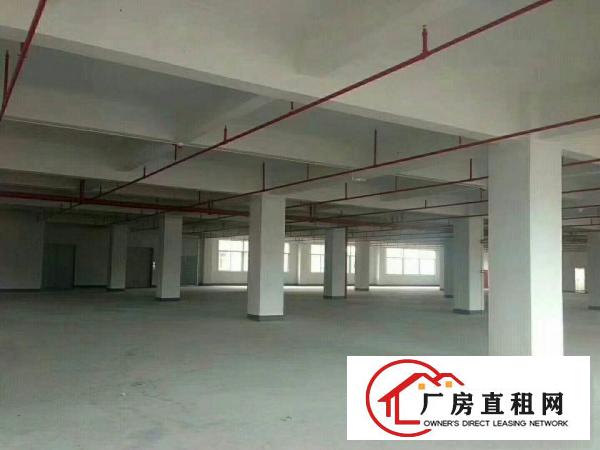 
布吉上李朗2152平新建标准厂房