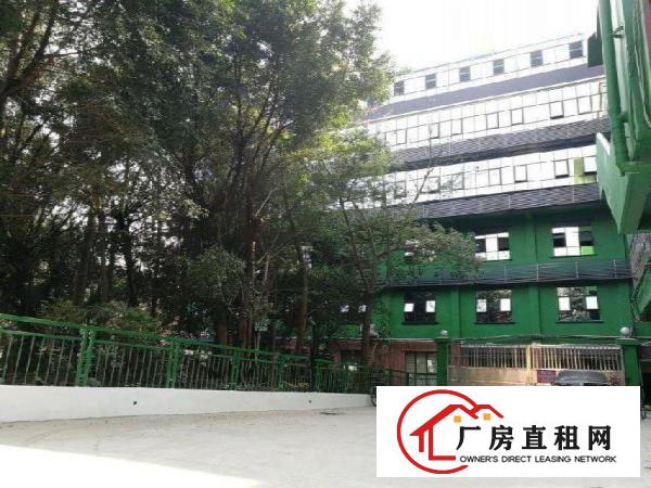 
丹竹头地铁站旁电商园68-1000平电商仓库招租