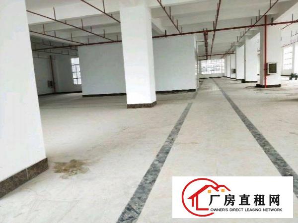 
下水径吉华路恒通公交站厂房1468平米