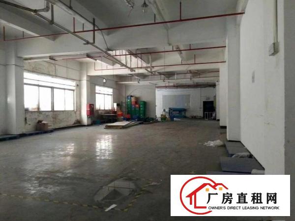 
布吉上水径独院厂房出租
