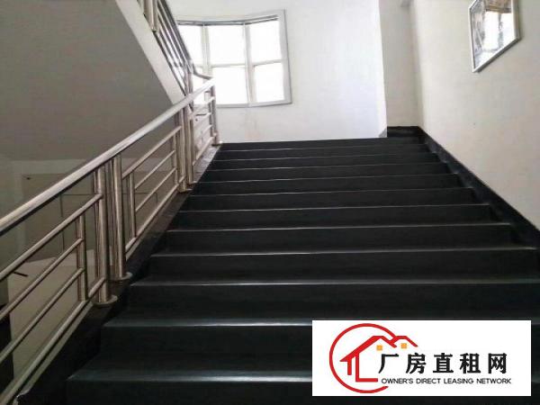 
布吉上水径独院厂房出租