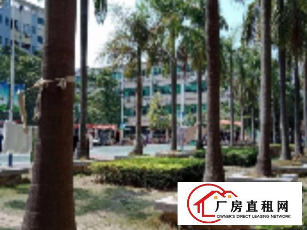 
布吉丹竹头宝丹路300,500,700坪带电梯