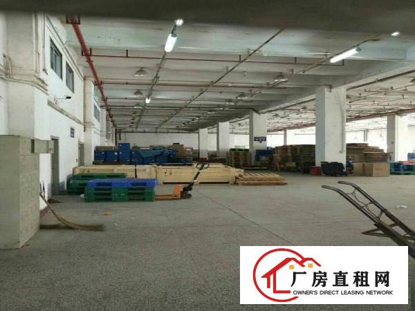 
布吉上水径独门独院1480平标准厂房