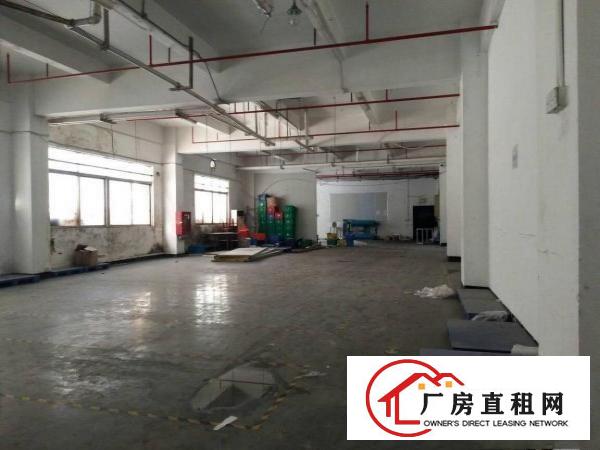 
布吉上水径独门独院1480平标准厂房